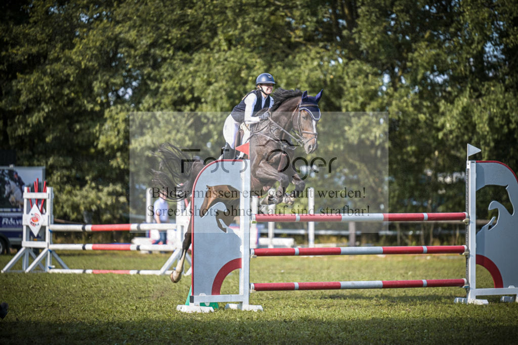 DOS_0826 | Entdecke hochwertige Reitturnierfotos von Foto Oger. Professionell, emotional und authentisch – jetzt Lieblingsmomente im Shop bestellen.Deutschlandweite Turnierfotografie. - Realisiert mit Pictrs.com