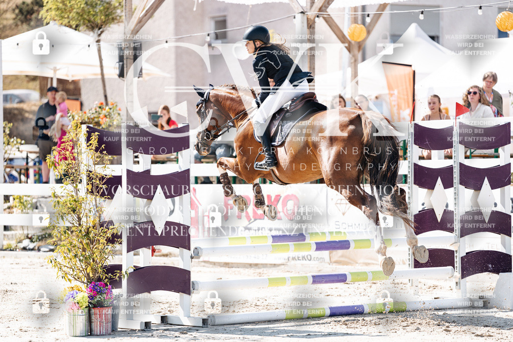 CK905220 | Turnierfotografie Pferdefotografie Trier Rheinland-Pfalz Pferdesport Reitsport Tierfotografie Sportfotografie Pferdevideo Pferdevideografie Equestrianvideography equestrianphotography  - Realisiert mit Pictrs.com
