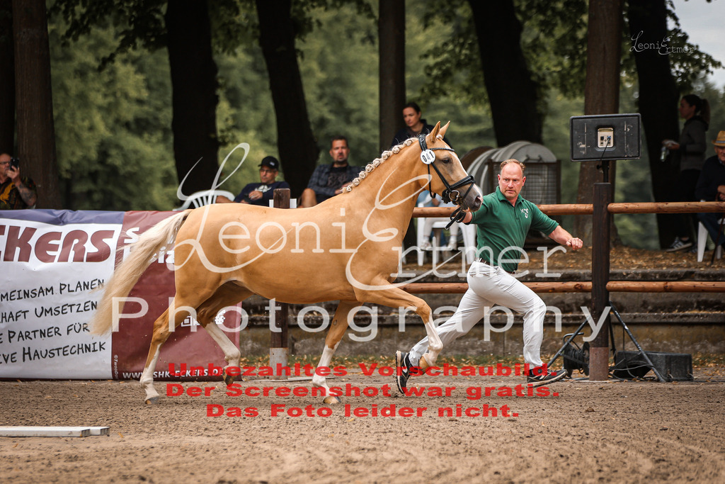 8.So00017 | Leoni Ertmer Photography - Realisiert mit Pictrs.com