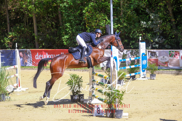 DKP43107 | Deine Turnierfotos vom Reitturnier online kaufen: Dressur, Springen & Siegerehrung. Professionelle Pferdefotografie aus dem Rheinland – als Download & Print.Alternative: Turnierfotograf für den Pferdesport: Finde deine Fotos von Dressur- und Springturnier