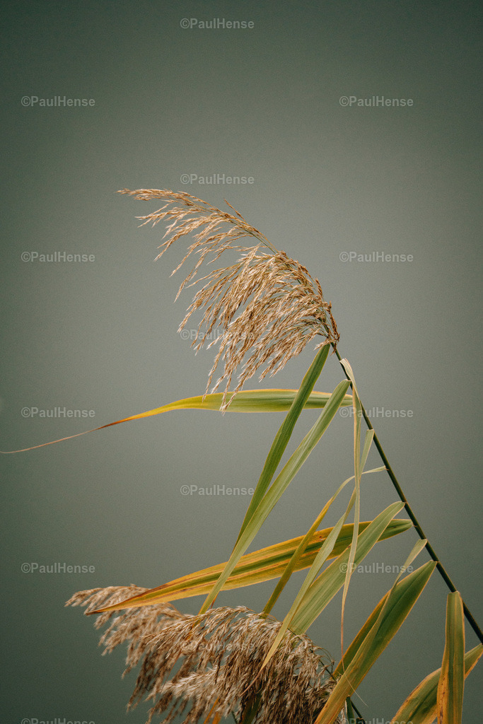 20221120_PaulHense_S0001_DSC03725-2 | paulhense - Realisiert mit Pictrs.com