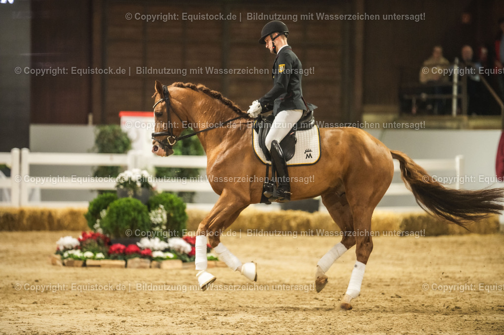 20240302_Hengstvorstellung_Marbach_TOMsPiC_0540 | equistock