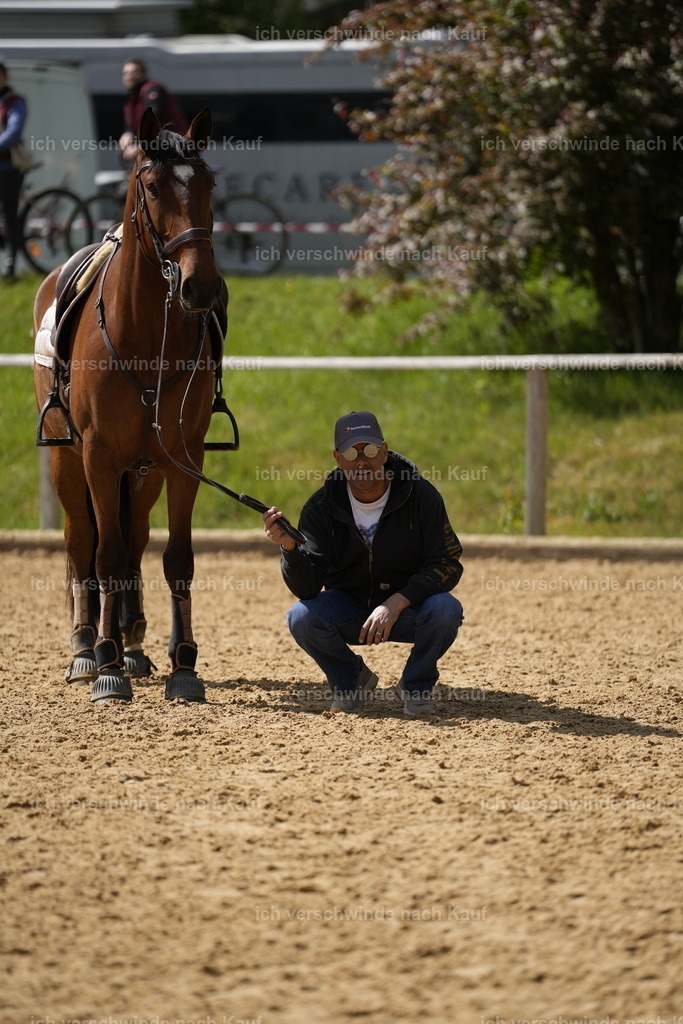 PI26_COW_Stoibphotography_A749473.JPG | working equitationturnier fotograf videograf stoibphotography marixx film working equitation deutschland reitsport turnierfotografie eventfotografie equestrian events