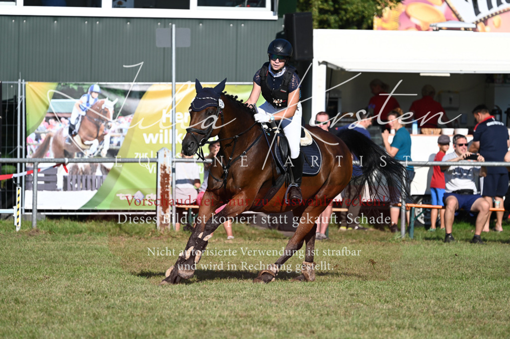 DSC_4859 | Pferde- und Turnierfotografie in Westsachsen. Pferdeportraits, Auftragszeichnungen und intuitive Kunst.
