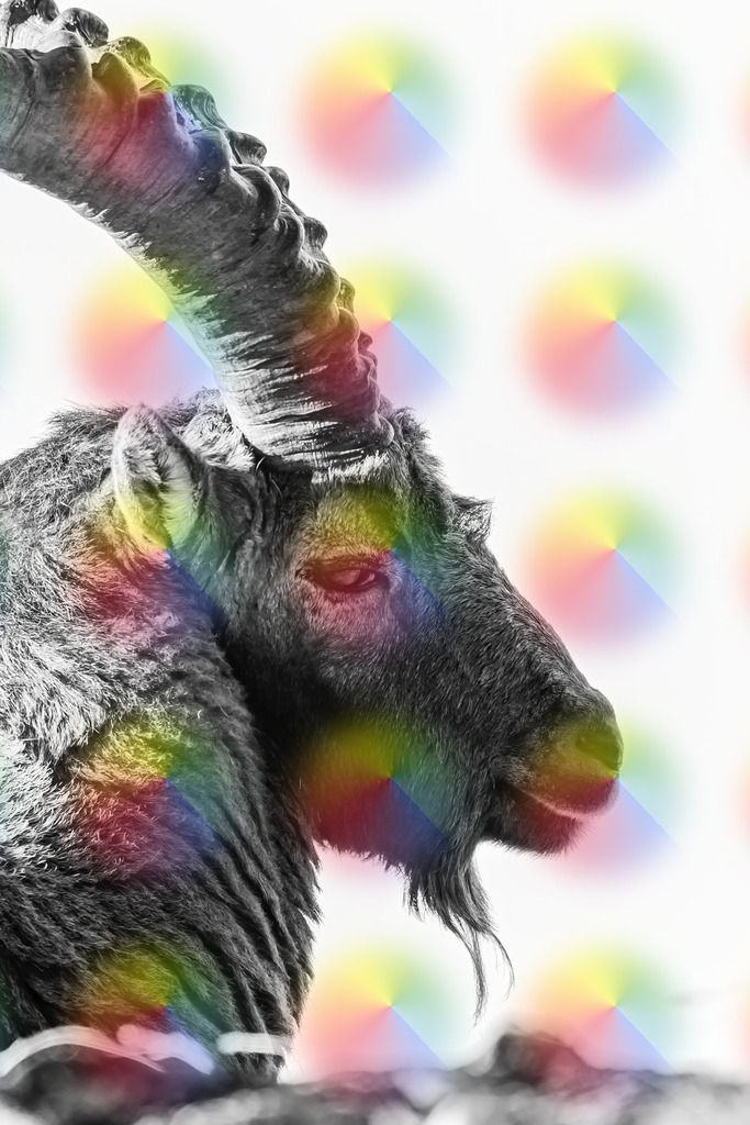 148A4873 | FineArtPrint, Hahnemühle, FeeGalerie, Fee Galerie, Fotokunst, Fotografie, Canonphotography, Bergfoto, Matterhorn, Rimpfischhorn, Allalinhorn, Saas-Fee, Wallis, Valais, Switzerland, Bergfotografie