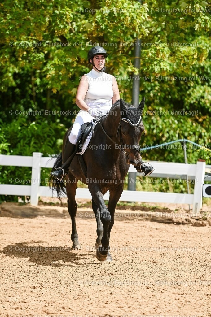 20230715_05_Dressurprüfung Kl.A++_0144 | equistock