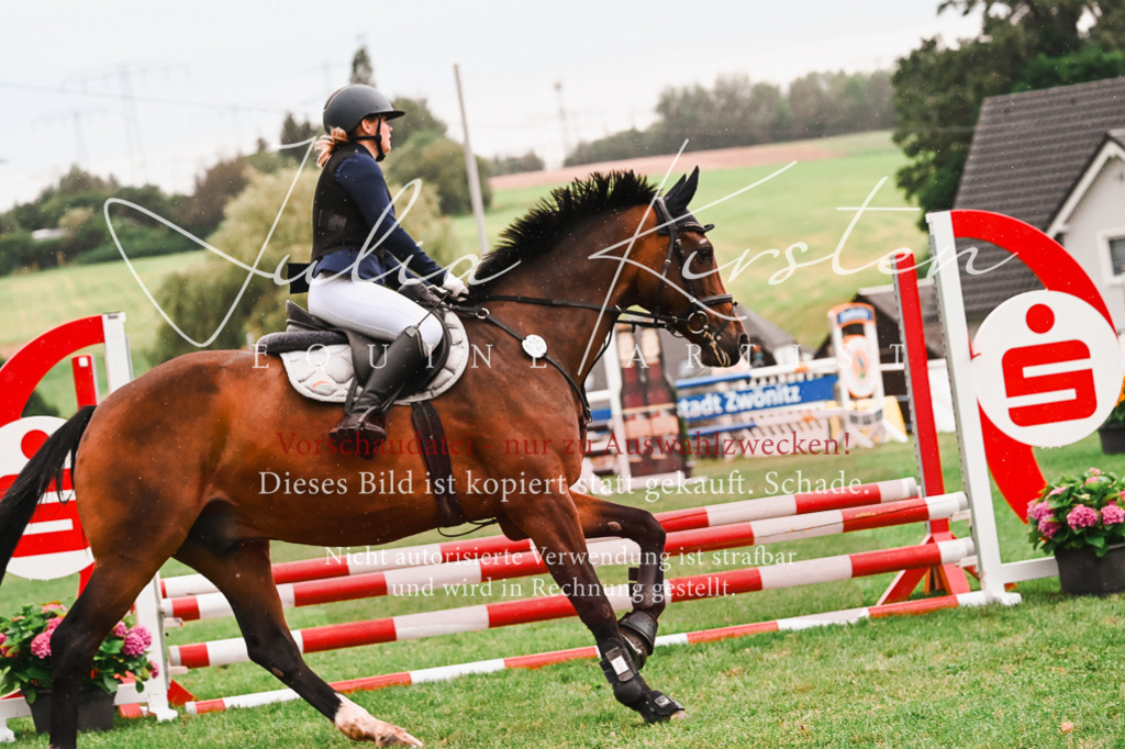 DSC_6396 | Pferde- und Turnierfotografie in Westsachsen. Pferdeportraits, Auftragszeichnungen und intuitive Kunst.