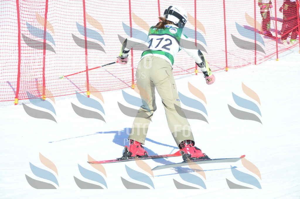 C6323 | holidayphoto