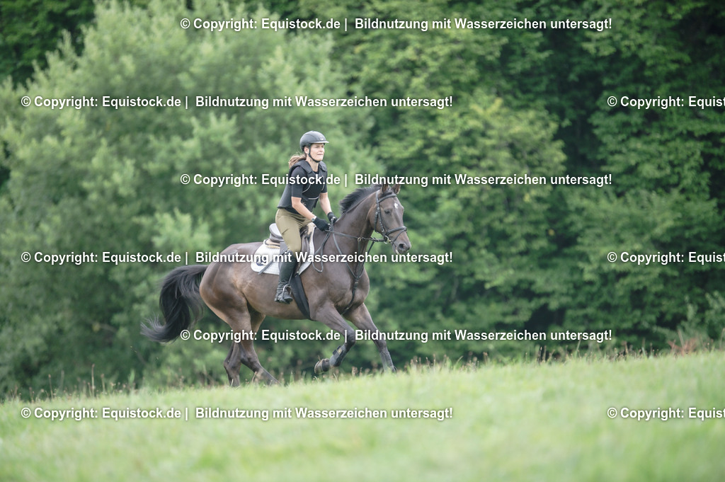 20250726_Vielseitigkeitslehrgang-Marbach_0461 | Foto: Thomas Hartig
