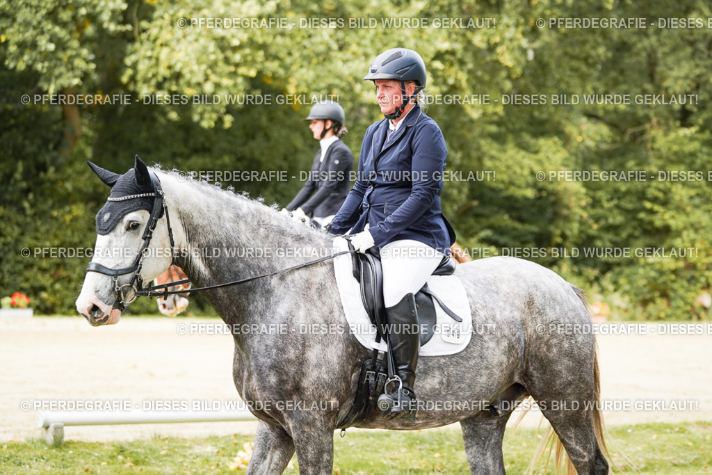 DSC01826 | Pferdegrafie