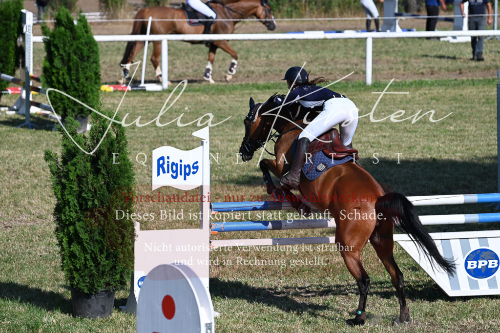 DSC_2445 | Pferde- und Turnierfotografie in Westsachsen. Pferdeportraits, Auftragszeichnungen und intuitive Kunst.