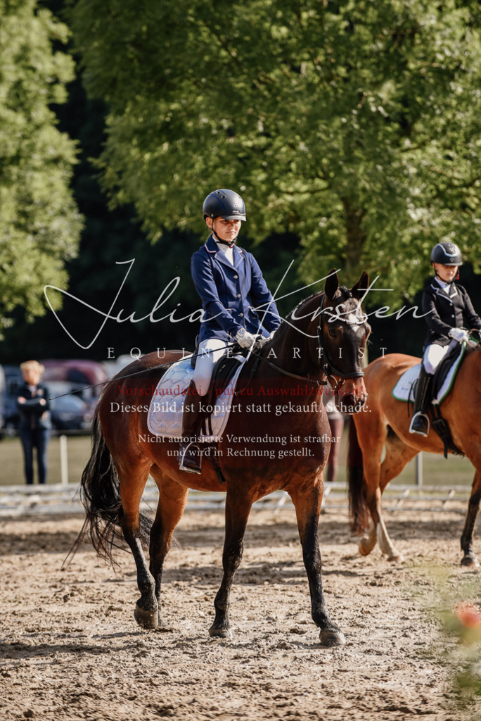 DSC_9107 | Pferde- und Turnierfotografie in Westsachsen. Pferdeportraits, Auftragszeichnungen und intuitive Kunst.