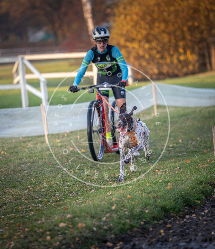 CaniXpix_DV3A9295 | Hundefotografie, Tierfotograf, Pfotenfotografie, Fotoshooting Hund, Hunde Portrait, Hundesport, Hundeportraits, Heideshooting, Hunde, Sportfotograf, Hundefotograf, Turnierhundsport, THS,  - Realisiert mit Pictrs.com