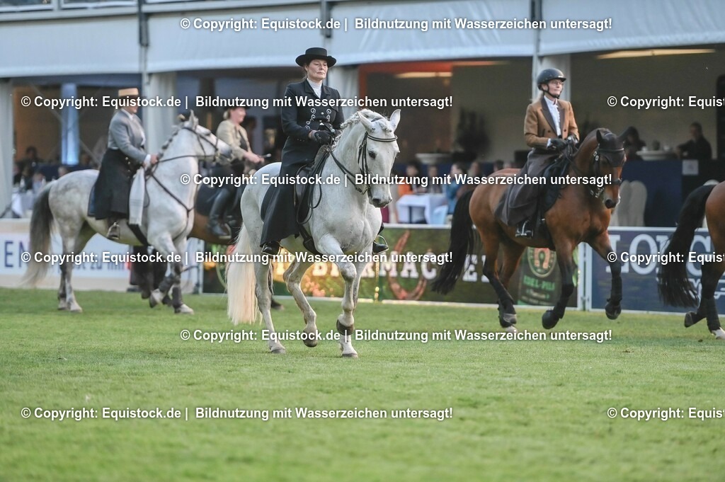 20230526_Pferdenacht_0774 | equistock