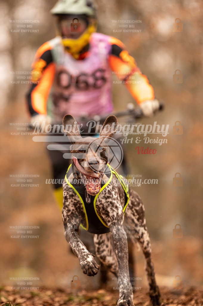 AKM_ST_2023_SAM_Bike-54 | PayLife