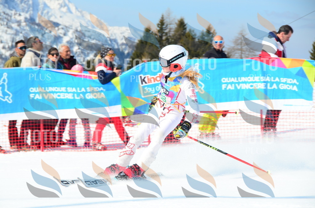 DSC_0388 | holidayphoto