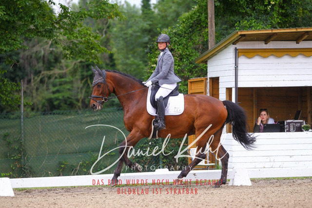 DKP41738 | Turniersportfotografie; Pferdefotografie; Dressurfotografie