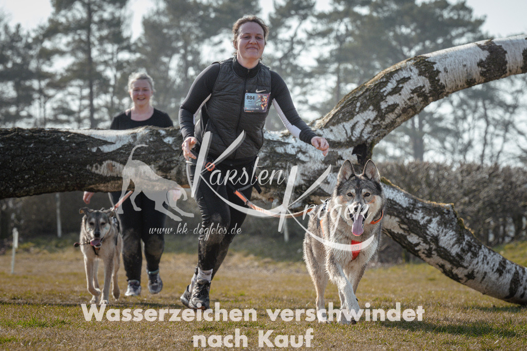 1118_ZZ95090 | kk-dogfotos