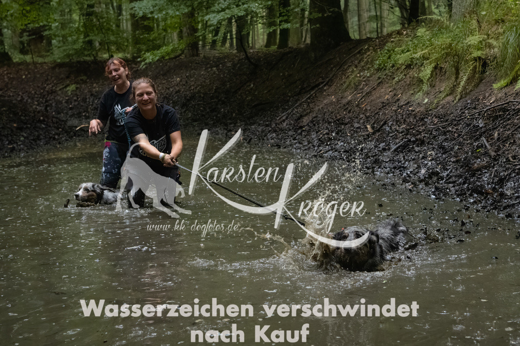 0939_ZZ91012-Bearbeitet | kk-dogfotos
