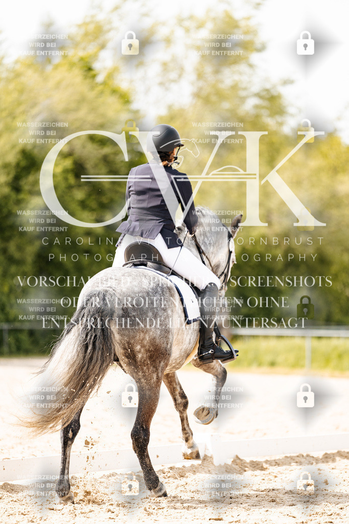 CK901601 | Turnierfotografie Pferdefotografie Trier Rheinland-Pfalz Pferdesport Reitsport Tierfotografie Sportfotografie Pferdevideo Pferdevideografie Equestrianvideography equestrianphotography  - Realisiert mit Pictrs.com