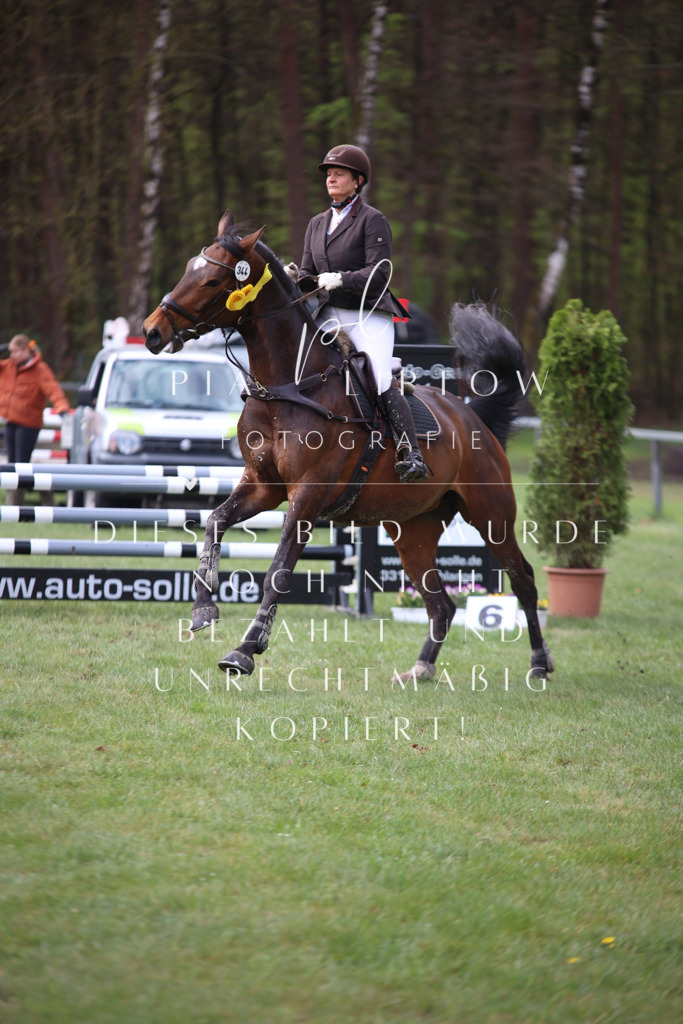 IMGT3391 | pl-fotografie