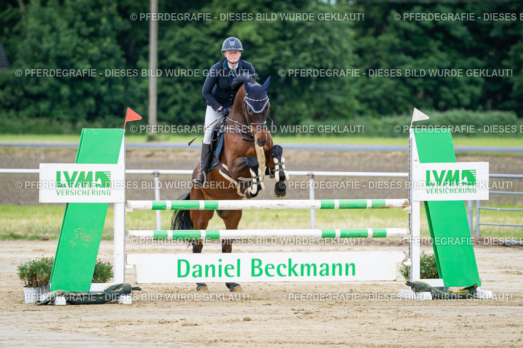 DSC03401 | Pferdegrafie