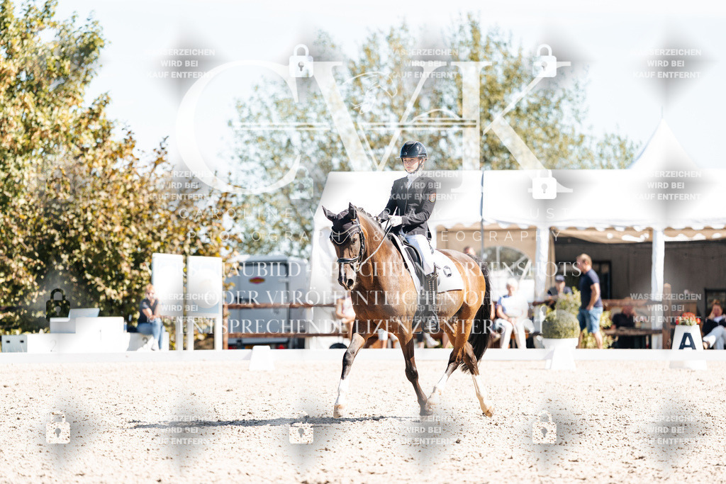 CK909597 | Turnierfotografie Pferdefotografie Trier Rheinland-Pfalz Pferdesport Reitsport Tierfotografie Sportfotografie Pferdevideo Pferdevideografie Equestrianvideography equestrianphotography  - Realisiert mit Pictrs.com