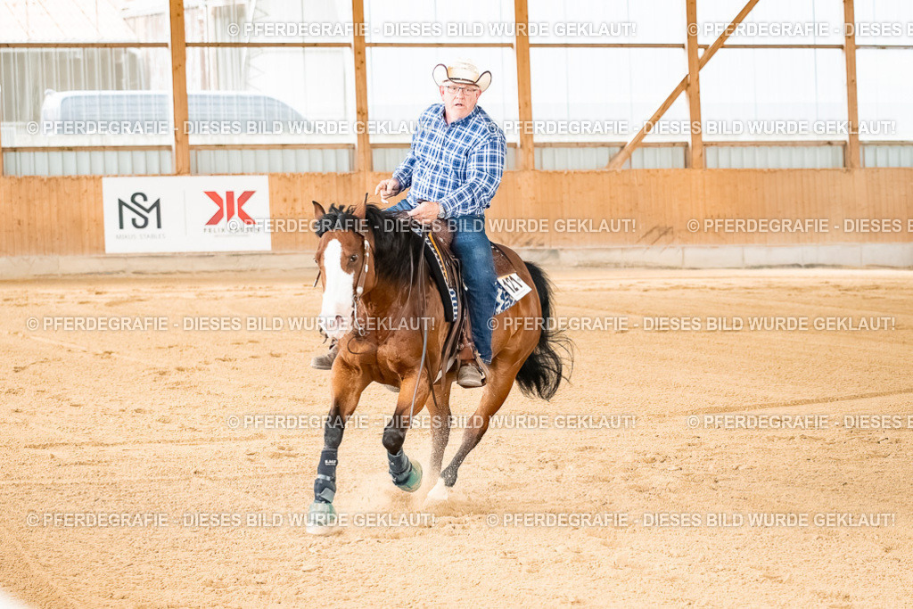 DSC01752 | Pferdegrafie