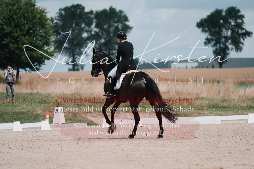 DSC_4263 | Pferde- und Turnierfotografie in Westsachsen. Pferdeportraits, Auftragszeichnungen und intuitive Kunst.