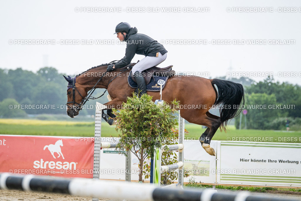 DSC02132 | Pferdegrafie