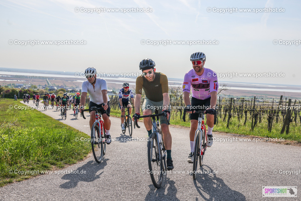 007A9761 | Neusiedlersee Radmarathon #neusiedlerseeradmarathon #neusiedlersee #nrm26 #yourpictrs #sportshot_your_pictrs