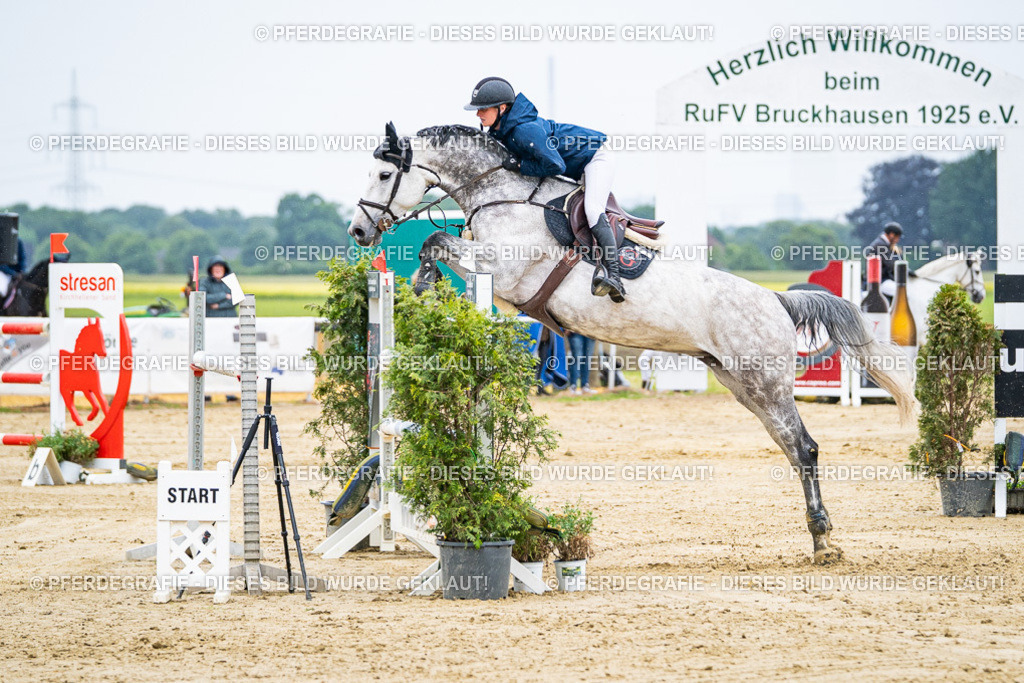 DSC08210 | Pferdegrafie