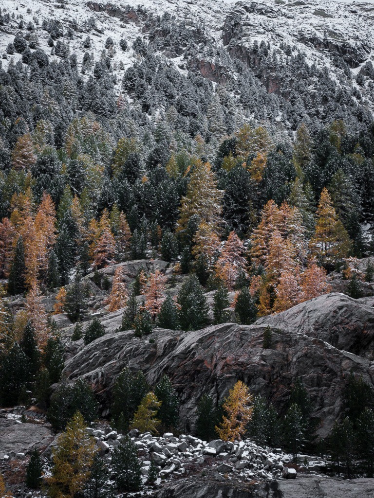 SilvanoPedrettPhotography_preview_Engadin-26 | silvanopedrett - Realisiert mit Pictrs.com