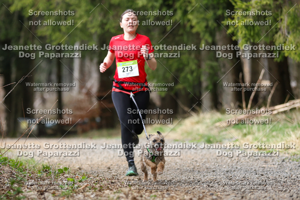 Dog Paparazzi - VCC26-398 | Dog Paparazzi Jeanette Grottendiek Fotografie & Videografie - Realisiert mit Pictrs.com