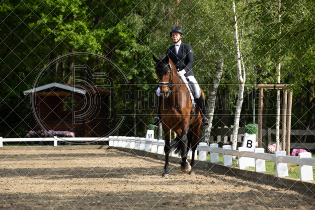 IMG_0234 | photographesa-joergens - Realisiert mit Pictrs.com