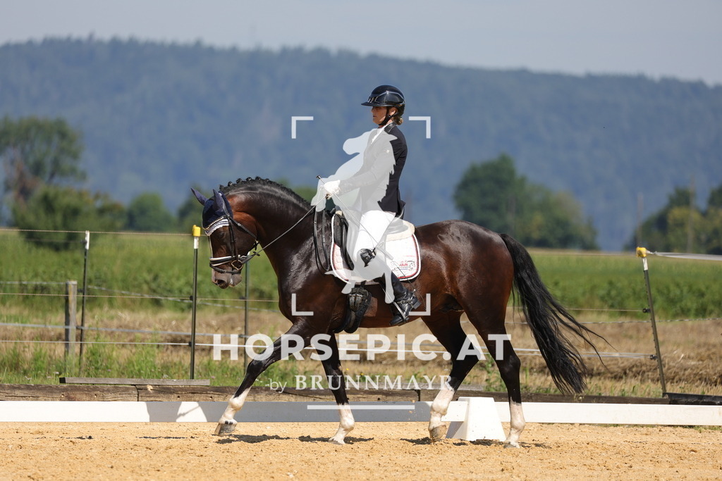 0P6A9621 | Willkommen bei Brunnmayr - Design & Fotografie – Ihrem Spezialisten für Reitturniere und Pferdeveranstaltungen in Oberösterreich, Salzburg und Bayern! Seit über 17 Jahren sind wir leidenschaftlich dabei.