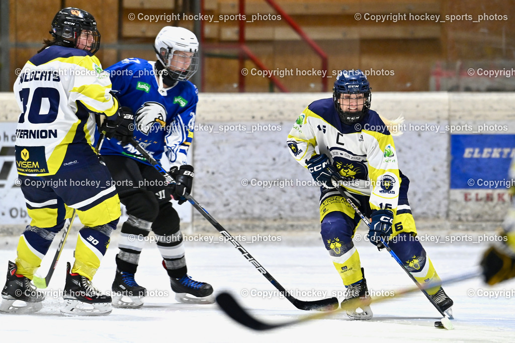Wildcats Paternion vs. Lady Hawks  | #16 Anton Sandra WILDCATS PATERNION, #10 Domenig Verena WILDCATS PATERNION, Wildcats Paternion vs. Lady Hawks , Wildcats Paternion vs. Lady Hawks  am 27.01.2025 in Spittal an der Drau (Eissportzentrum Spittal), Austria, (Photo by Bernd Stefan)