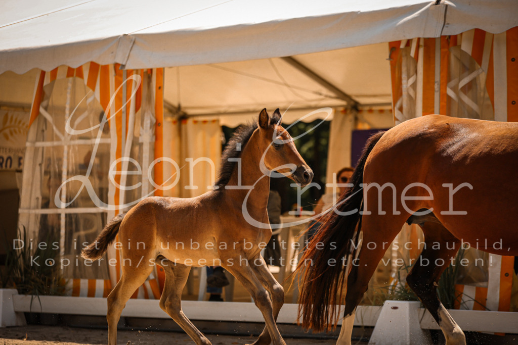 03.DoAB00074 | Leoni Ertmer Photography - Realisiert mit Pictrs.com