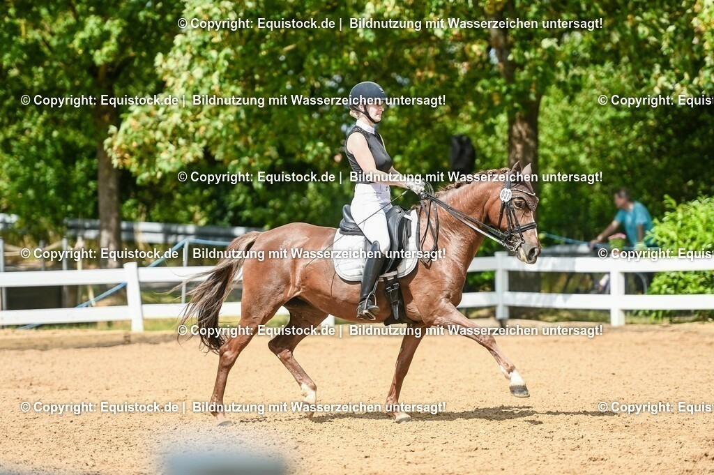 20230716_01_Dressurprüfung Kl.M_0347 | equistock