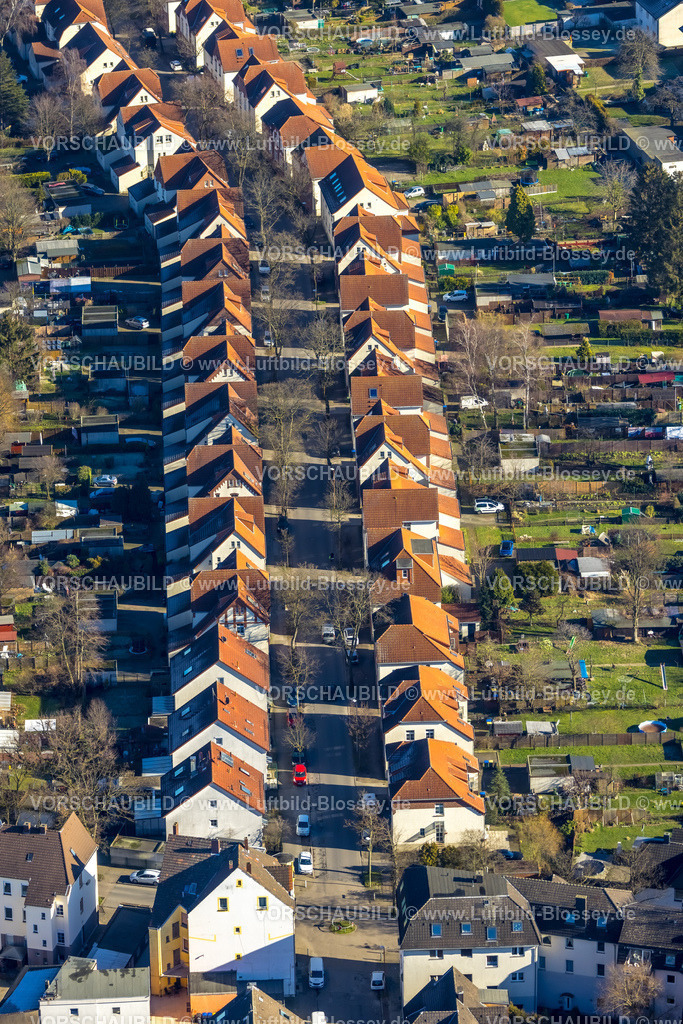 Luenen230204427 | Luftbild, Alte Kolonie - Zechensiedlung Lünen Brambauer, Reihenhäuser mit roten Dächern und Gartenanlagen, Karl-Haarmann-Straße, Brambauer, Lünen, Ruhrgebiet, Nordrhein-Westfalen, Deutschland