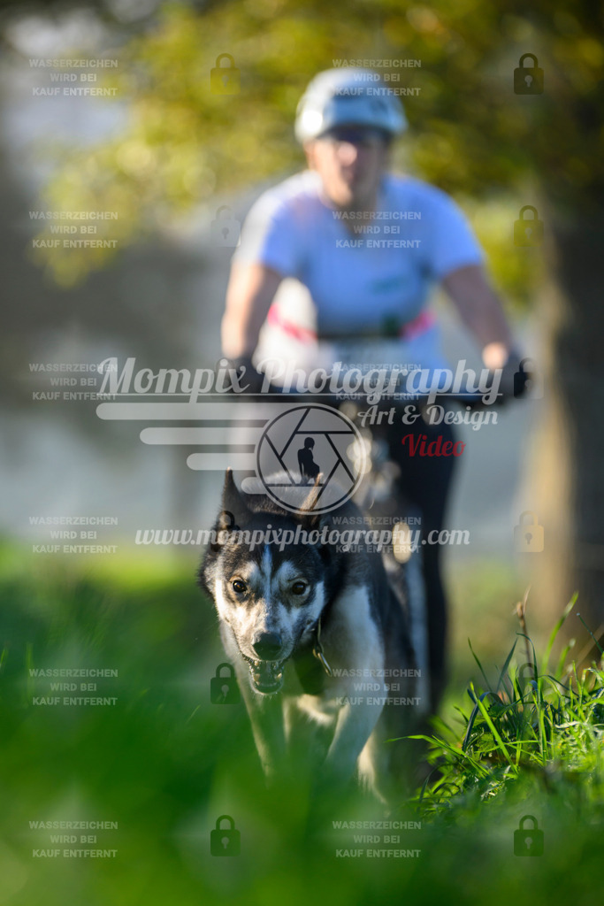 MompixPhotography_20TSB_E3_Bike-225 | PayLife