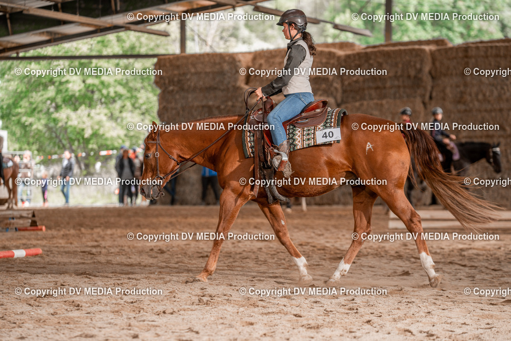 Balingen Tag 3-1025 | dv-media-shop - Realisiert mit Pictrs.com