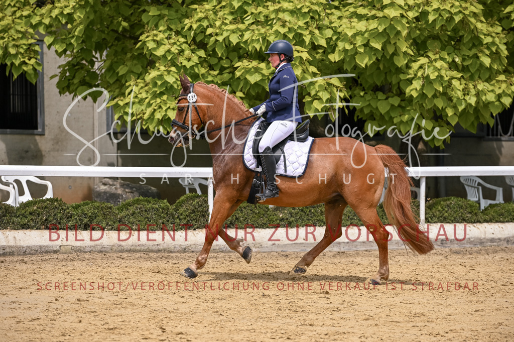 Schugtsche-Aluta25-55.Dressurreiterprf.L1Tr-93 | Schugtsche Fotografie - Realisiert mit Pictrs.com