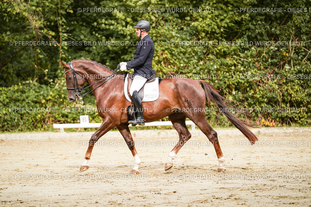 DSC03604 | Pferdegrafie