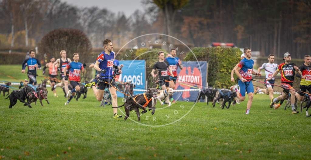 CaniXpix_DV3A9452 | Hundefotografie, Tierfotograf, Pfotenfotografie, Fotoshooting Hund, Hunde Portrait, Hundesport, Hundeportraits, Heideshooting, Hunde, Sportfotograf, Hundefotograf, Turnierhundsport, THS,  - Realisiert mit Pictrs.com