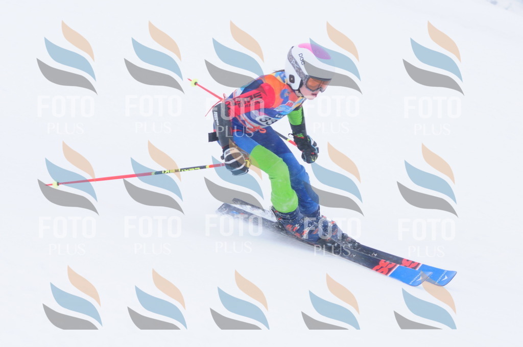 C3532 | holidayphoto