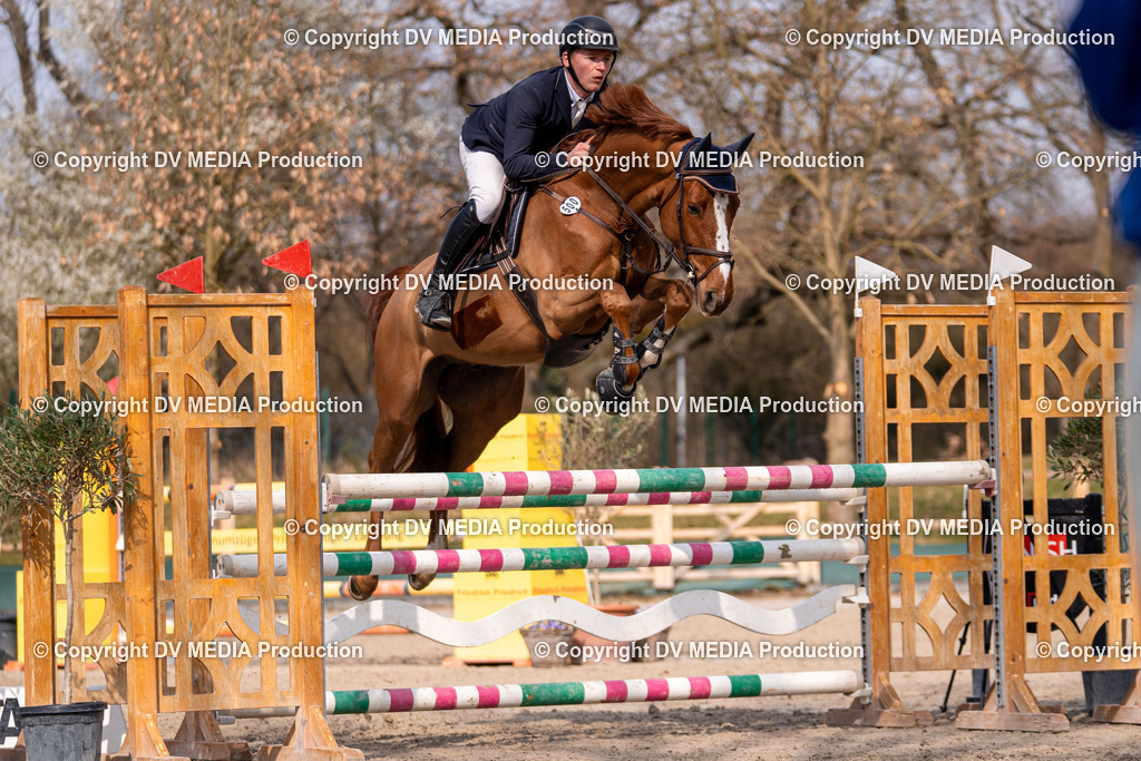 Kranichstein Tag 2-1526 | dv-media-shop - Realisiert mit Pictrs.com