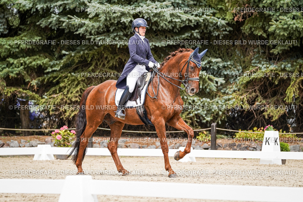 DSC05967 | Pferdegrafie