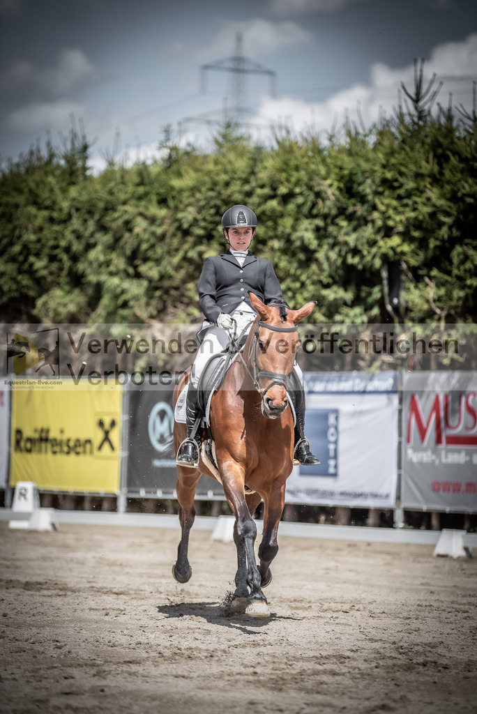 DSC_2357 | equestrian-live-com