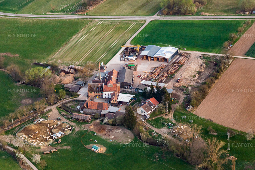 Luftbild: Neubau der abgebrannten Halle Holzwerk ORTH Gerd Sütterlin e.K. im Ortsteil Schaidt in Wörth im Bundesland Rheinland-Pfalz in Deutschland. Foto: IMG_131092.jpg vom 28.03.2022 durch Werner Riehm/FLY-FOTO.deHolzwerk-ORTH - in der Region gewachsen